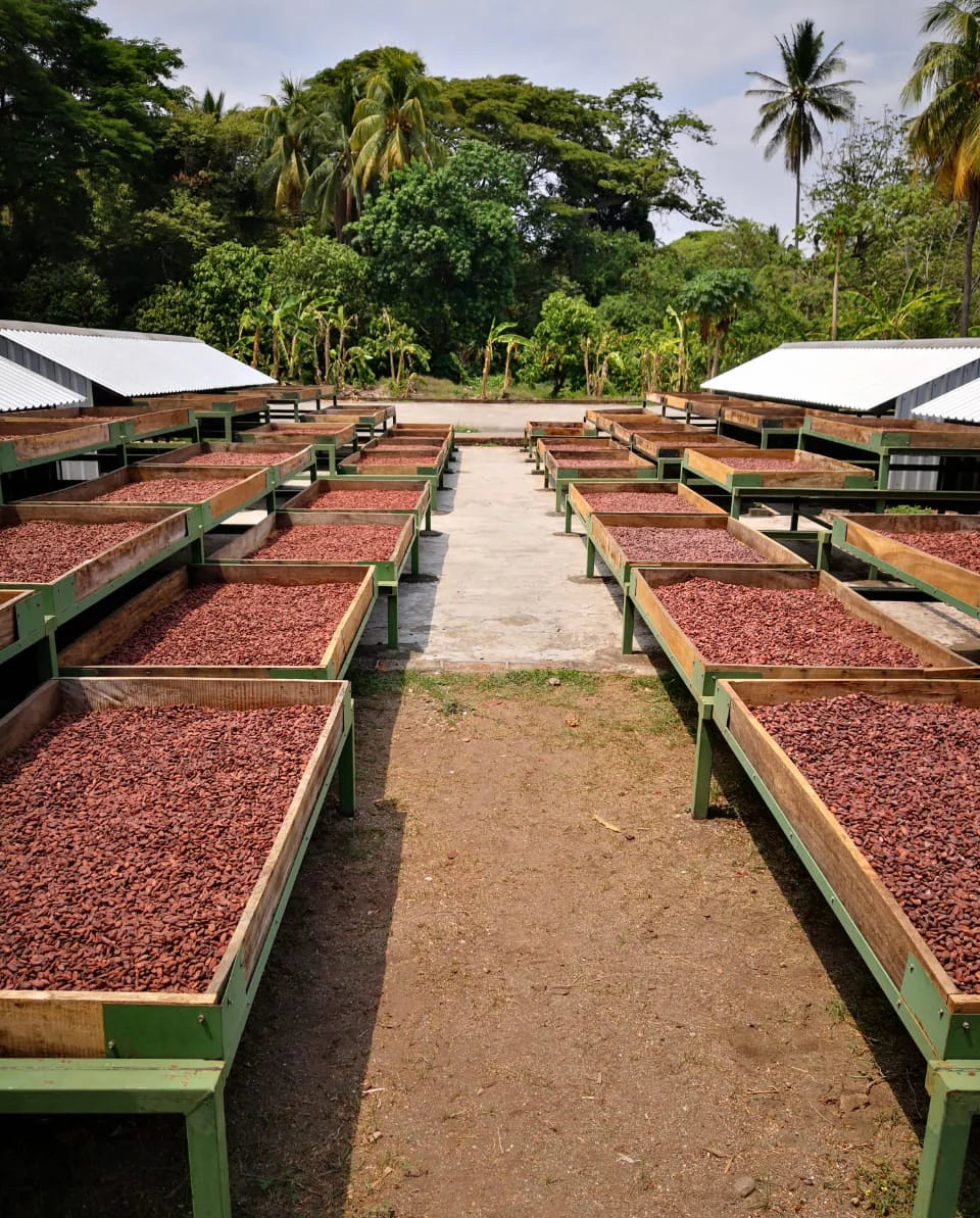 Ceremonial cacao from El Salvador - Lenca VAICacao
